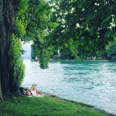 半岛综合APP截图